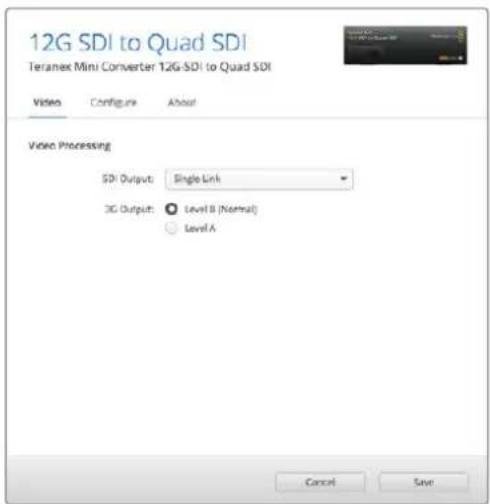 Blackmagic Design Teranex Mini 1 - Sortie 3G - 1