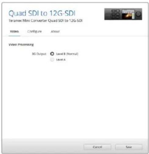 Blackmagic Design Teranex Mini 1 - 3G Output - 1