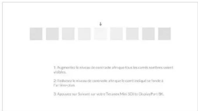 Blackmagic Design Teranex Mini 1 - Suvant - 1