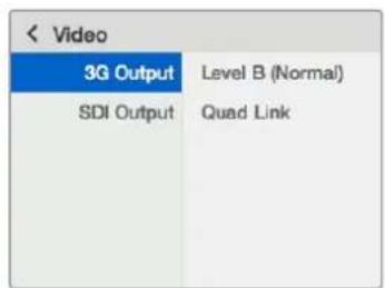 Blackmagic Design Teranex Mini 1 - 12G-SDI入力(12G-SDIN) - 1