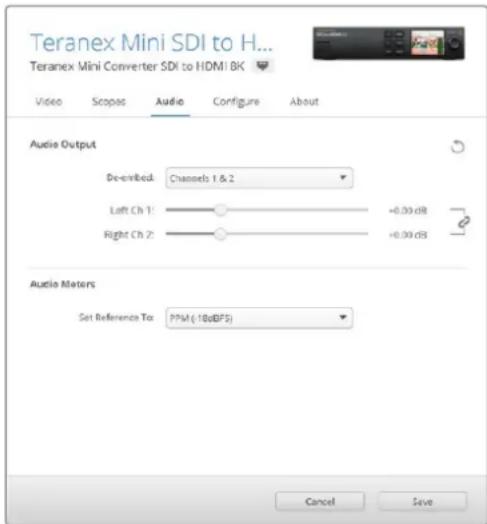 Blackmagic Design Teranex Mini 1 - RCA 降解、伸缩性 - 1