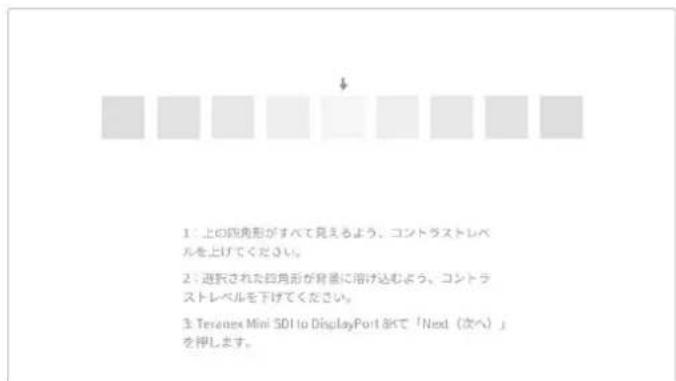 Blackmagic Design Teranex Mini 1 - Blackmagic Teranex Setupの設定 - 2