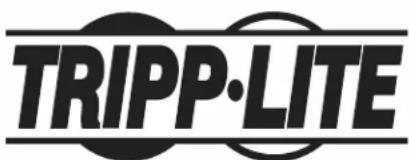 Tripp Lite Isolator IS300HGDV - L'Information de conformité WEEE pour les clients de Trilpp Lite et recycleurs (Union europeenne) - 2