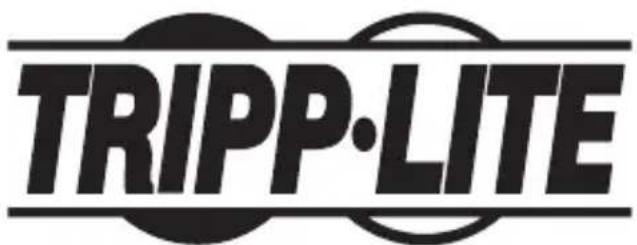 Tripp Lite PCE1M2PX4 - Карта PCI Express твердотельного накопителя М.2 NGFF PCIe (с разъемом М-Key) - 1
