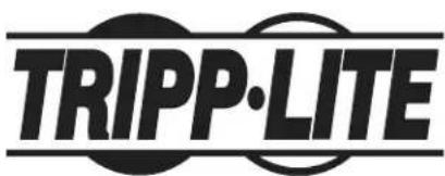 Tripp Lite Isolator IS1000HGDV - Informationen zur WEEE-Konformltät für Kunden und Recycler von Trllp Lite (Europäische Unlon) - 2