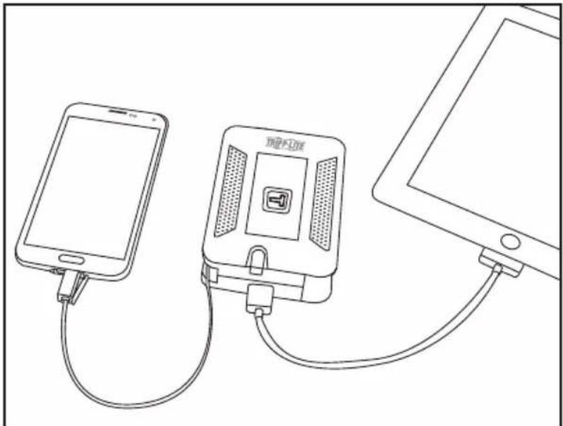 Tripp Lite PV4IN1 - Operation - 5
