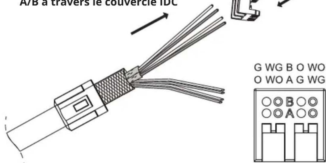 Tripp Lite N238P01MPTLA - Installation - 1