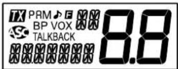 PRESIDENT Richard - 7) PANTALLA LCD - 1