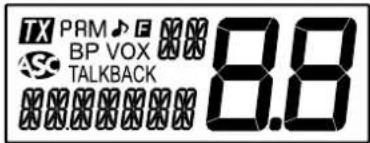 PRESIDENT Richard - 7) LCD - 1