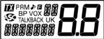 PRESIDENT Walker II - 7) Afficheur LCD - 1