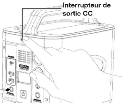Sun Joe PPG300 - ALIMENTATION D'APPAREILS EN COURANT CONTINU - 2