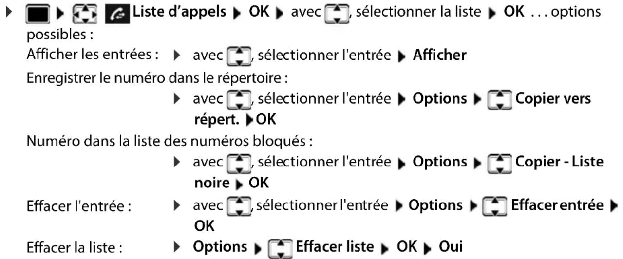 GIGASET Comfort 500HX - Autres options - 1