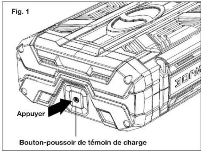 Sun Joe ION100V550JBCT - Témoins de charge de batterie - 1