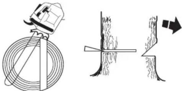 HUSQVARNA T136 - Corte de derribo - 2