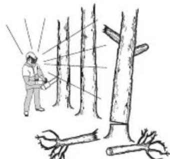 HUSQVARNA T136 - Basic safety rules - 1