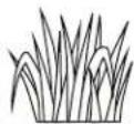 Sun Joe SJCMPS1 - What To Compost - 4
