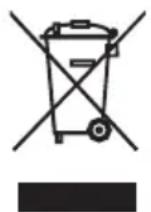 ADE Kira BE 2008 - Eliminación del article - 1