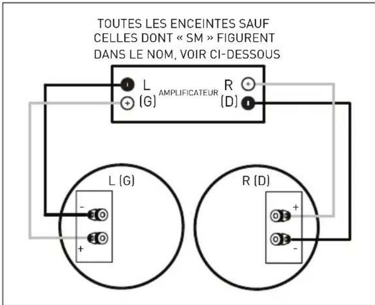 Paradigm CI Elite E3LCR - RACCORDEMENT DES ENCEINTES - 1