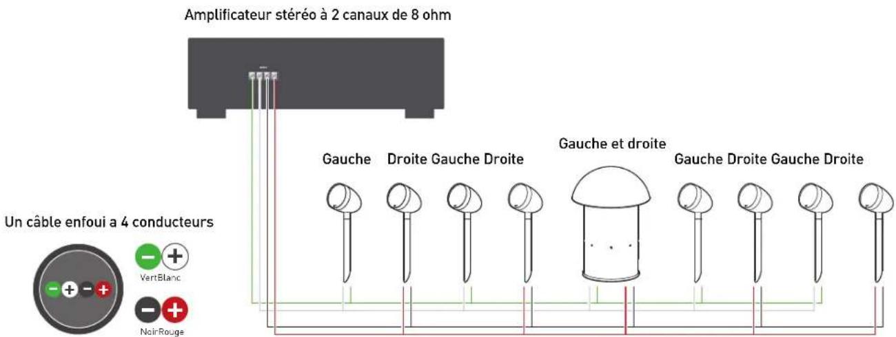 Paradigm Garden Oasis Essentials - BRANCHEMENTS ET INSTALLATION (SUITE) - 1