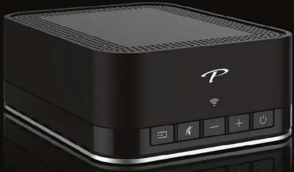 Paradigm PW LINK - 1