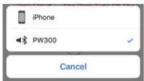 Paradigm PW 300 - Bluetooth Operation: - 1