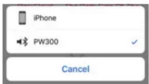 Paradigm PW 300 - Fonctionnement Bluetooth : - 1