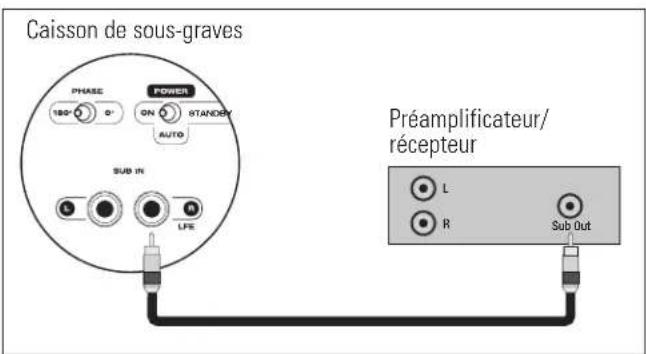 Paradigm PDR W100 - RACCORDEMENT CABLE - 1