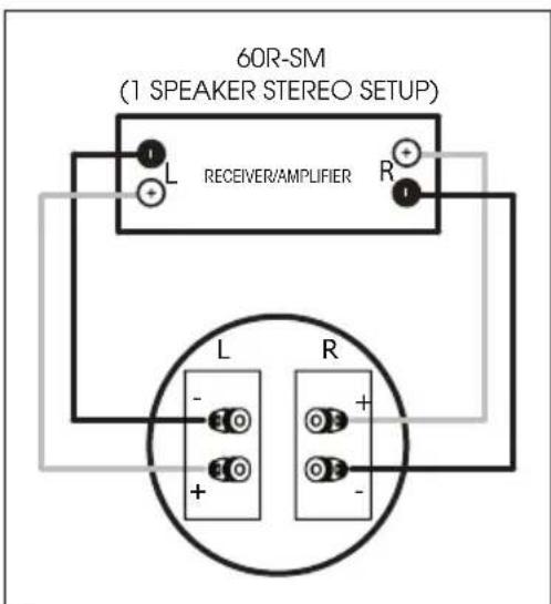 Paradigm CS60R30 v3 - SPEAKER CONNECTION - 3
