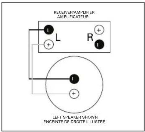 Paradigm AMS100R v4 - Standard Connection Raccordement Standard - 1