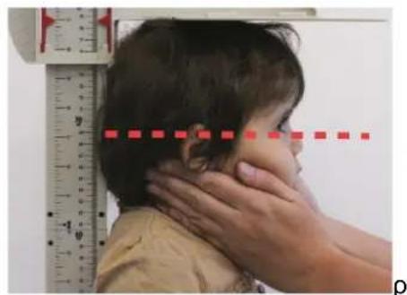 ADE MZ10042 - áos para una medicación correcta - 2