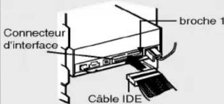 Connecteur d'interface broche 1 Câble IDE
