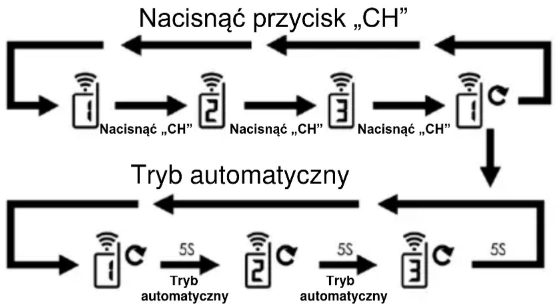 TECHNOLINE WS 9065 - Procedura przesyłania RF - 1