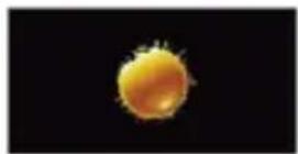 TECHNOLINE WS 6441 - Previsión meteorológica - 1