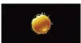 TECHNOLINE WS 6441 - Prévisions météo - 1