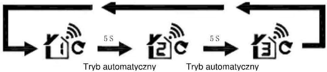 TECHNOLINE WS 9255 - Procedura przyśyłąnia RF: - 2