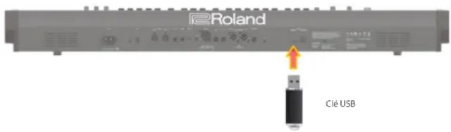Roland Clé USB