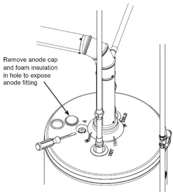 GE GP50T12BXR - Inspecting the Anode Rod: - 1