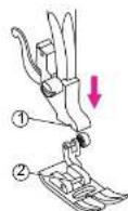 VERITAS Florence - Remplacement du pied-de-biche - 2