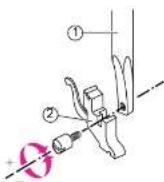 VERITAS Florence - Remplacement du pied-de-biche - 3