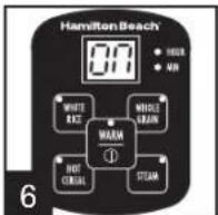 HAMILTON BEACH 37519 - How to Steam Food - 5
