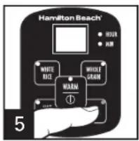 HAMILTON BEACH 37519 - Cuisson des aliments à la vapeur - 3