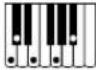 CASIO CTX5000 - Accords FINGERED 1, FINGERED 2 - 26