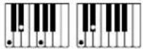 CASIO CTX5000 - Accords FINGERED 1, FINGERED 2 - 2
