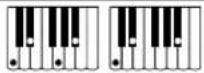 CASIO CTX5000 - Accords FINGERED 1, FINGERED 2 - 9
