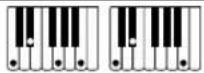 CASIO CTX5000 - Accords FINGERED 1, FINGERED 2 - 11