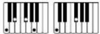 CASIO CTX5000 - Accords FINGERED 1, FINGERED 2 - 12