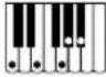 CASIO CTX5000 - Accords FINGERED 1, FINGERED 2 - 30