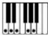 CASIO CTX5000 - Accords FINGERED 1, FINGERED 2 - 24