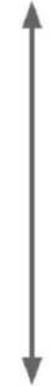 Grunkel PL22NS - grunkel - 2