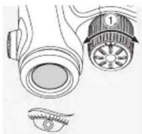 SWAROVSKI OPTIK CL Companion 10x30 B - CORRECTION DIOPTRIQUE - 2